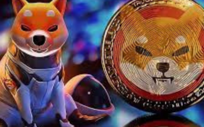 The Growing Popularity Of Shiba Inu coin Into A Vibrant Ecosystem